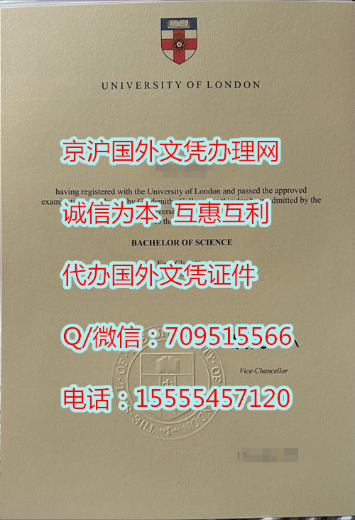 伦敦大学金史密斯学院毕业证_副本.jpg