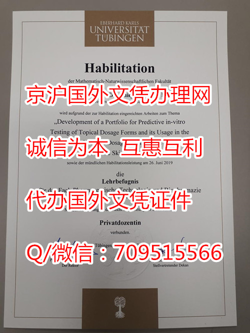 蒂宾根大学毕业证老版_副本.jpg