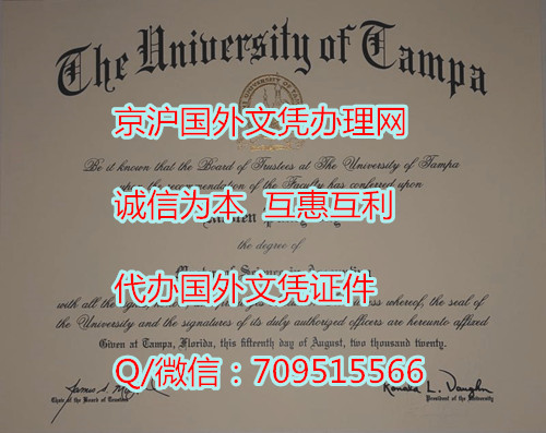 坦帕大学毕业证_副本.jpg