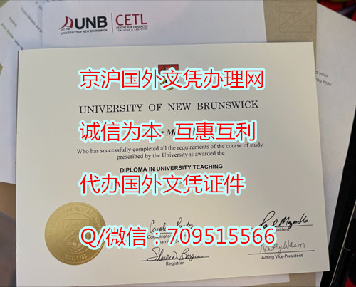 新布伦瑞克大学_副本.jpg