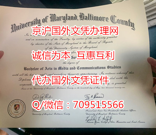 马里兰大学巴尔的摩郡分校毕业证(UMBC)样本,仿制美国学历证明
