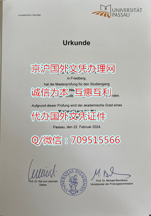 德国帕绍大学毕业证定制模版多久