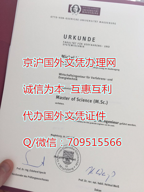 德国马格德堡大学文凭样式,德国毕业证怎么查询